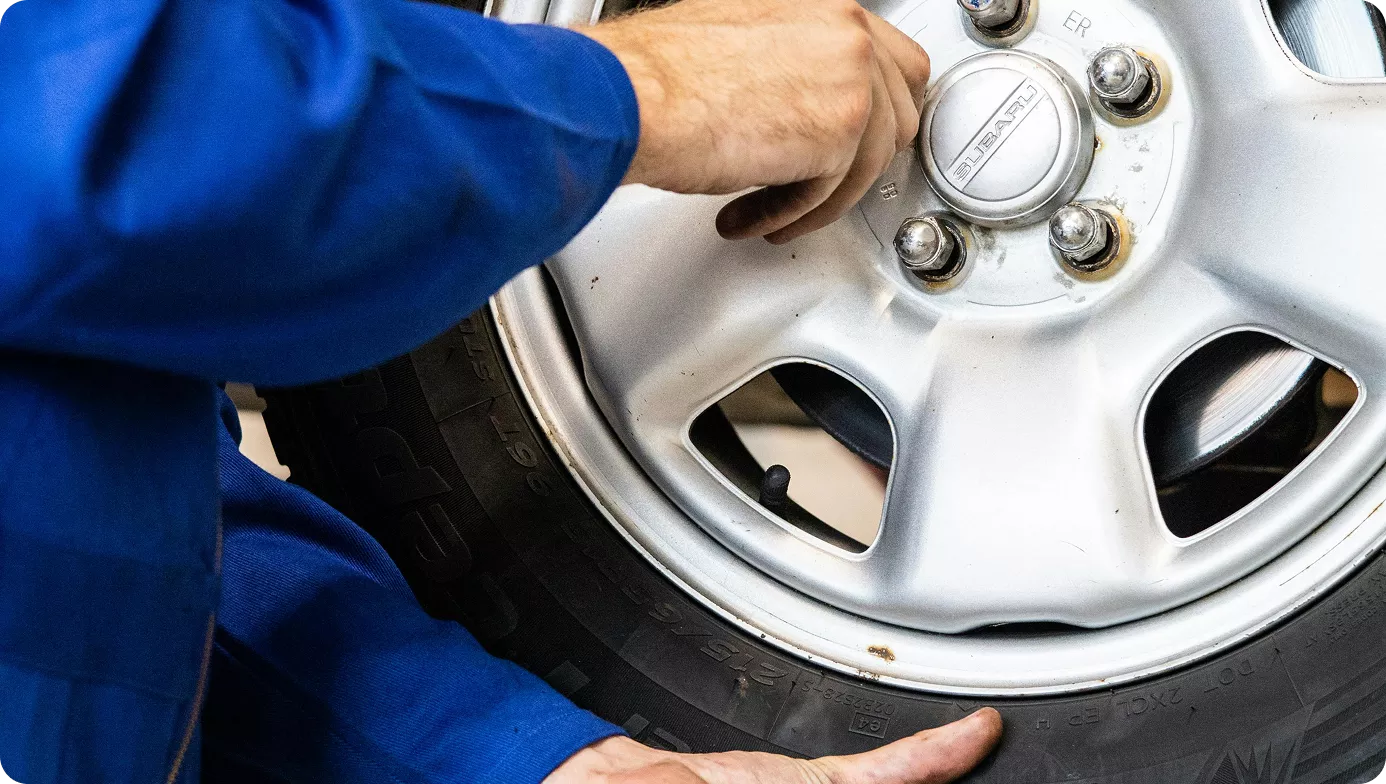 Nuestra especialidad